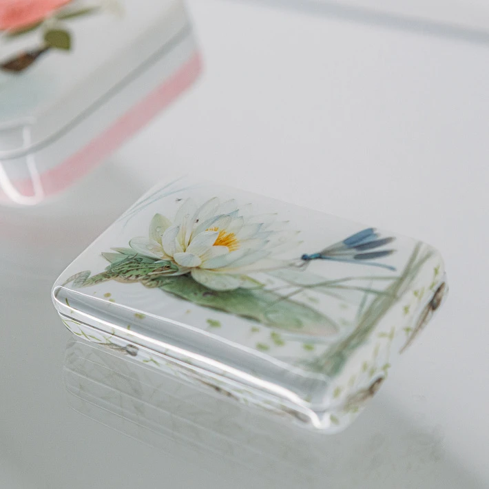 «Флористические артефакты». Музейное занятие