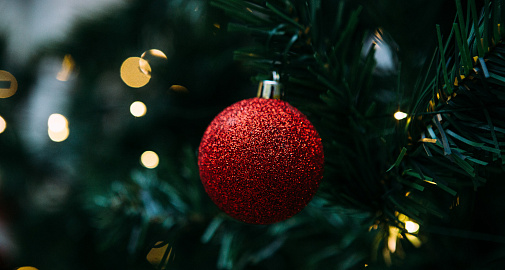 Афиша мероприятий в Музее «Новый Иерусалим» на новогодние каникулы